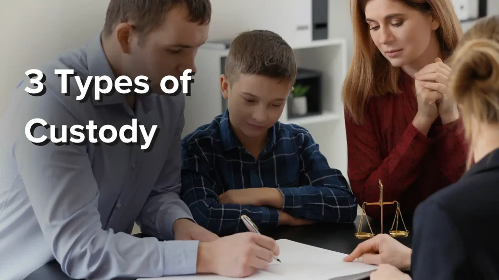 3 Types of Custody Image